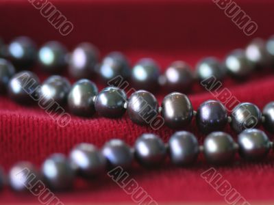 Black pearl necklace on red velvet