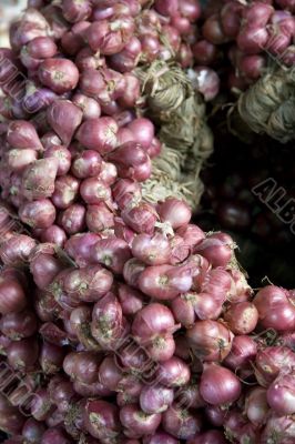 Bunch of onions Bunch of onions