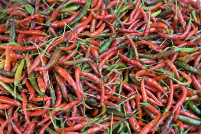 Red hot chili pepper I Red hot chili pepper I