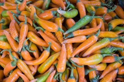 Yellow chili pepper Yellow chili pepper