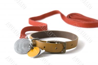 Collar with tags Collar with tags