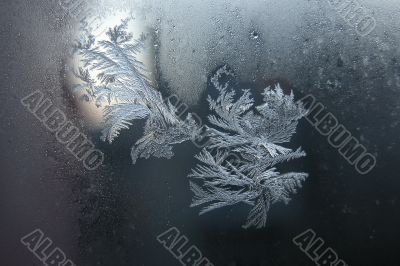 Frost drawings on window glass