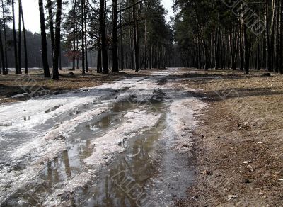 Road into spring