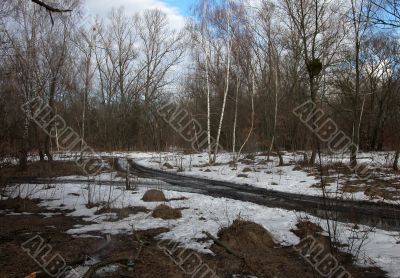 The impassable road in spring bare wood