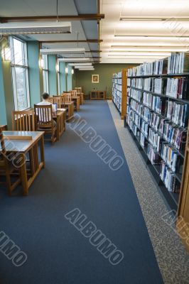 Working in the library Working in the library