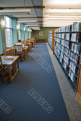 Working in the library