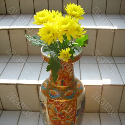 Chrysanthemums on the stairs