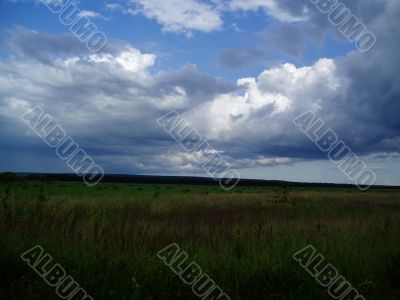 Meadow, preparation of hay