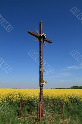 Cross and canola