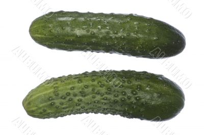 two green cucumbers two green cucumbers