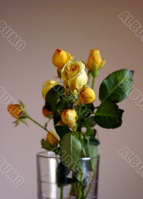 Bouquet from small roses