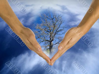 ecology, hands, responsibility, business