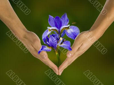 ecology, hands, responsibility, business