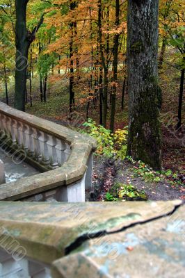 Autumn Autumn