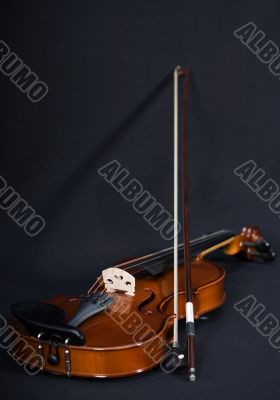 Violin