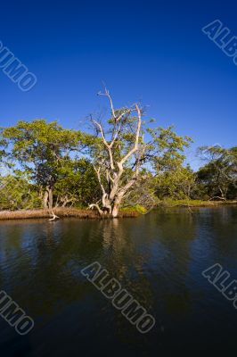 Laguna de le Restinga