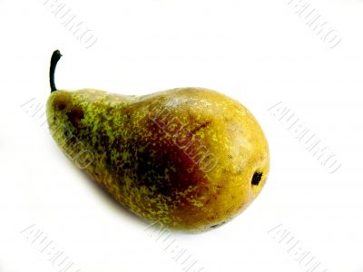 Conference pear