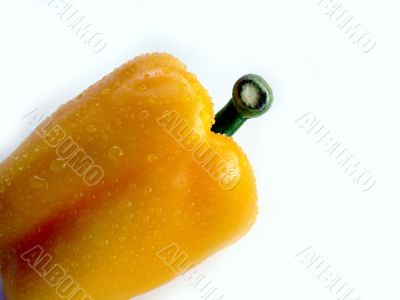 Yellow pepper Yellow pepper