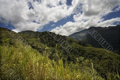 mountains, hills, meadow