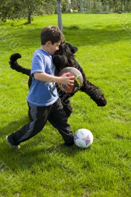 Children play with dog