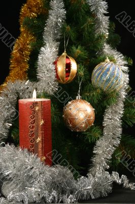 Under the christmas tree