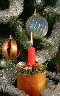 Under the christmas tree