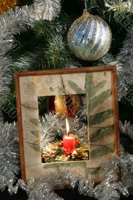 Under the christmas tree