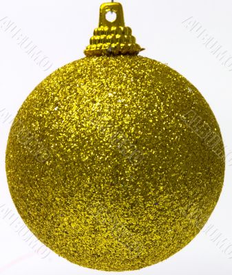 Under the christmas tree