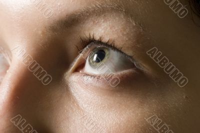 body, color, cornea, eye, eyeball, eyebrows