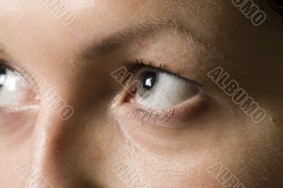 body, color, cornea, eye, eyeball, eyebrows