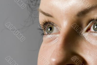 body, color, cornea, eye, eyeball, eyebrows