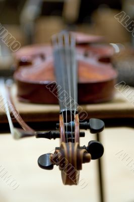 Violin