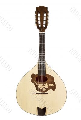 mandolin