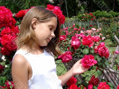 The girl with red roses