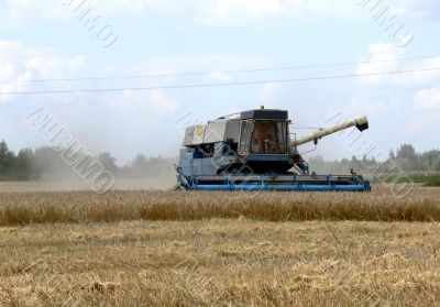 Harvest time