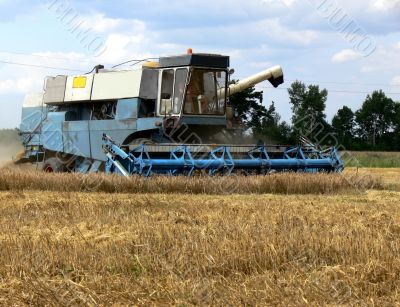 Harvest time