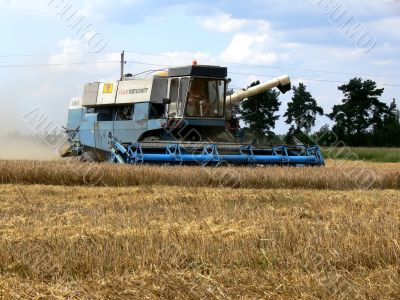 Harvest time Harvest time