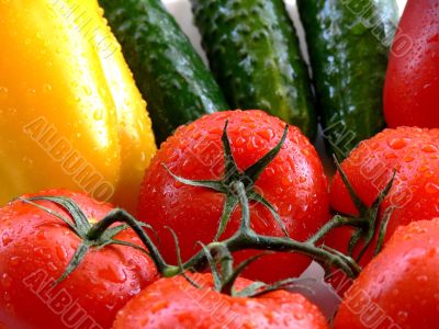 Vegetables Vegetables