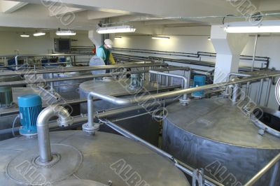 Production  wine, juice and drink