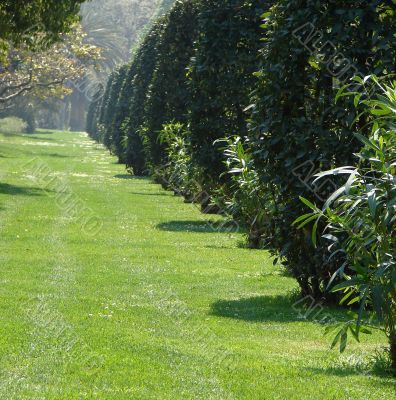 Morning in park ` De la Ciutadella`. Barcelona
