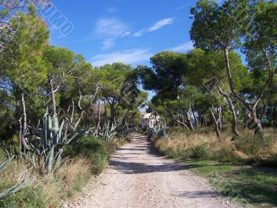 The Spanish landscape
