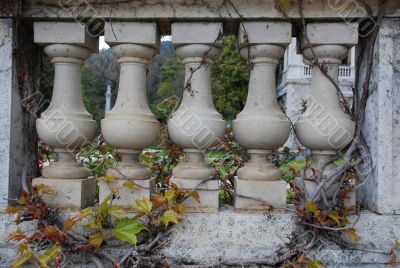 Stone Balustrade in branches of a vineyard
