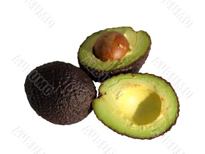 Avocado
