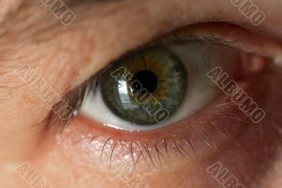 Green eye