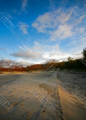 Footpath on sand