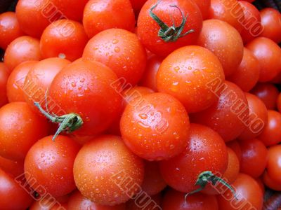 Tomatoes