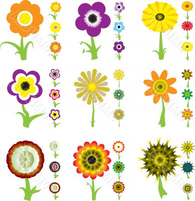 flower variation flower variation