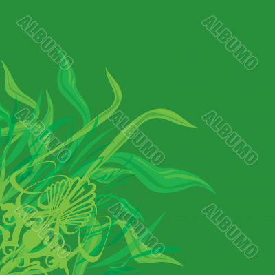 flower background fancy