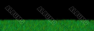 grass on black