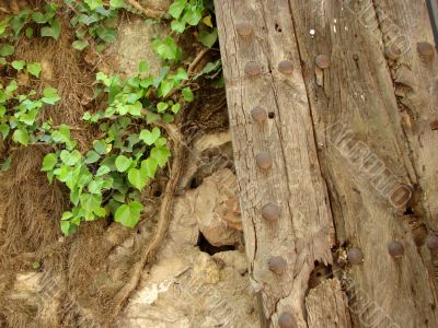 The rests of the Roman empire. A wooden gate